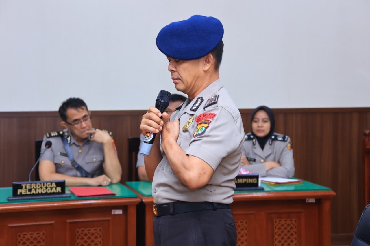 3d3833b8-2bb5-4cd8-8531-a073f1d6e789.jpg
