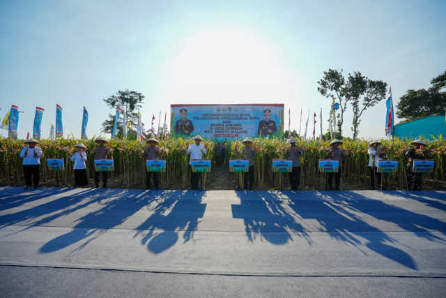 Jaaaaguung_Sedang.png