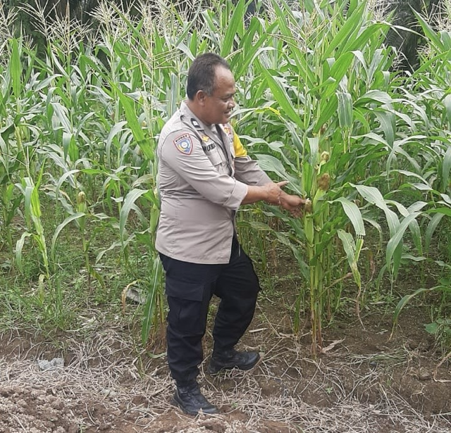 Muliadi_Sedang.png