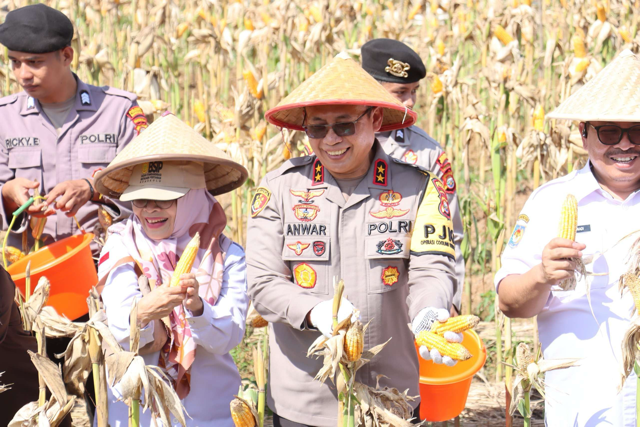 Nala1_Sedang.png