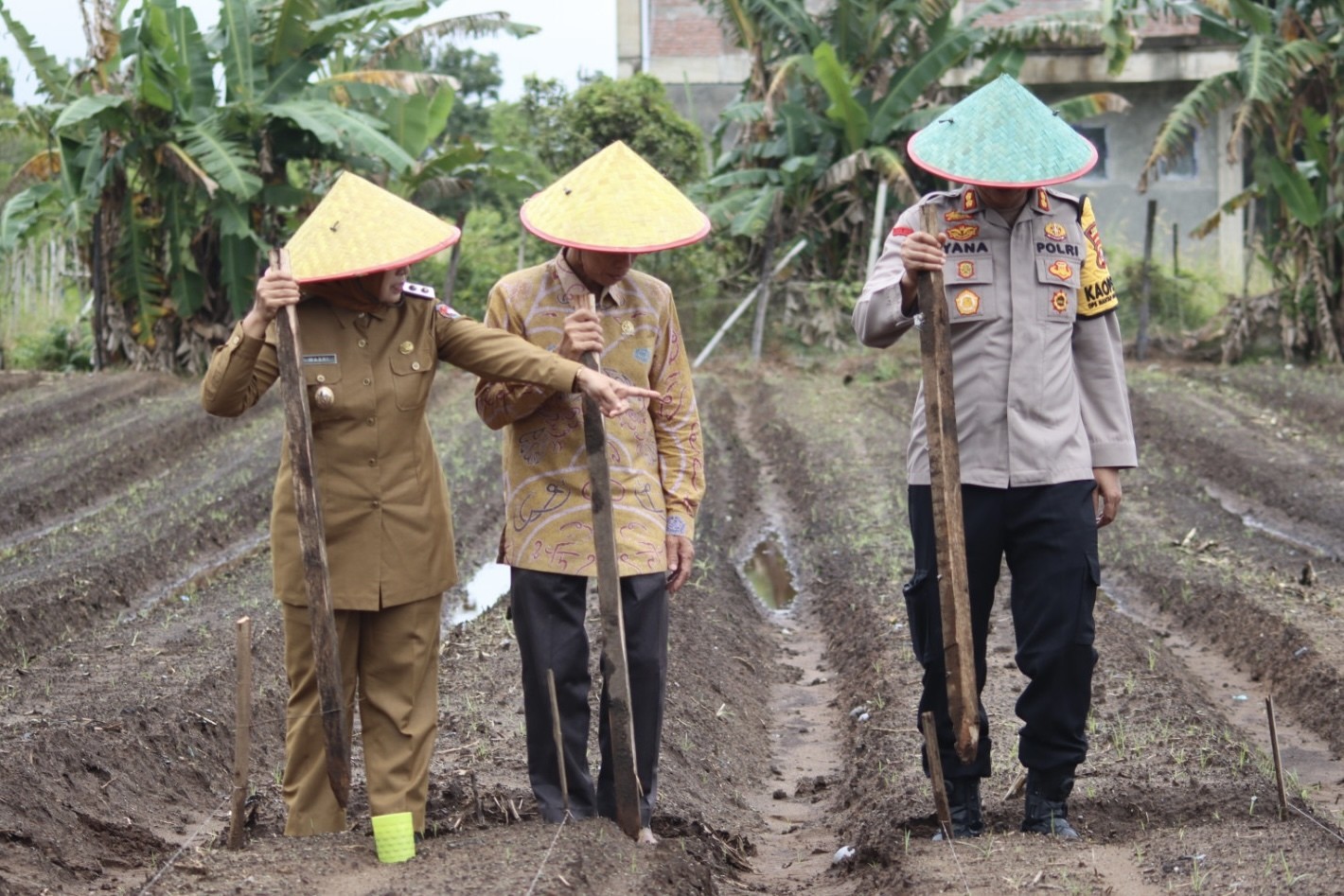 Dukung Ketahan Pangan Polres Mukomuko Siapkan 212 H Lahan untuk Ditanam Jagung.